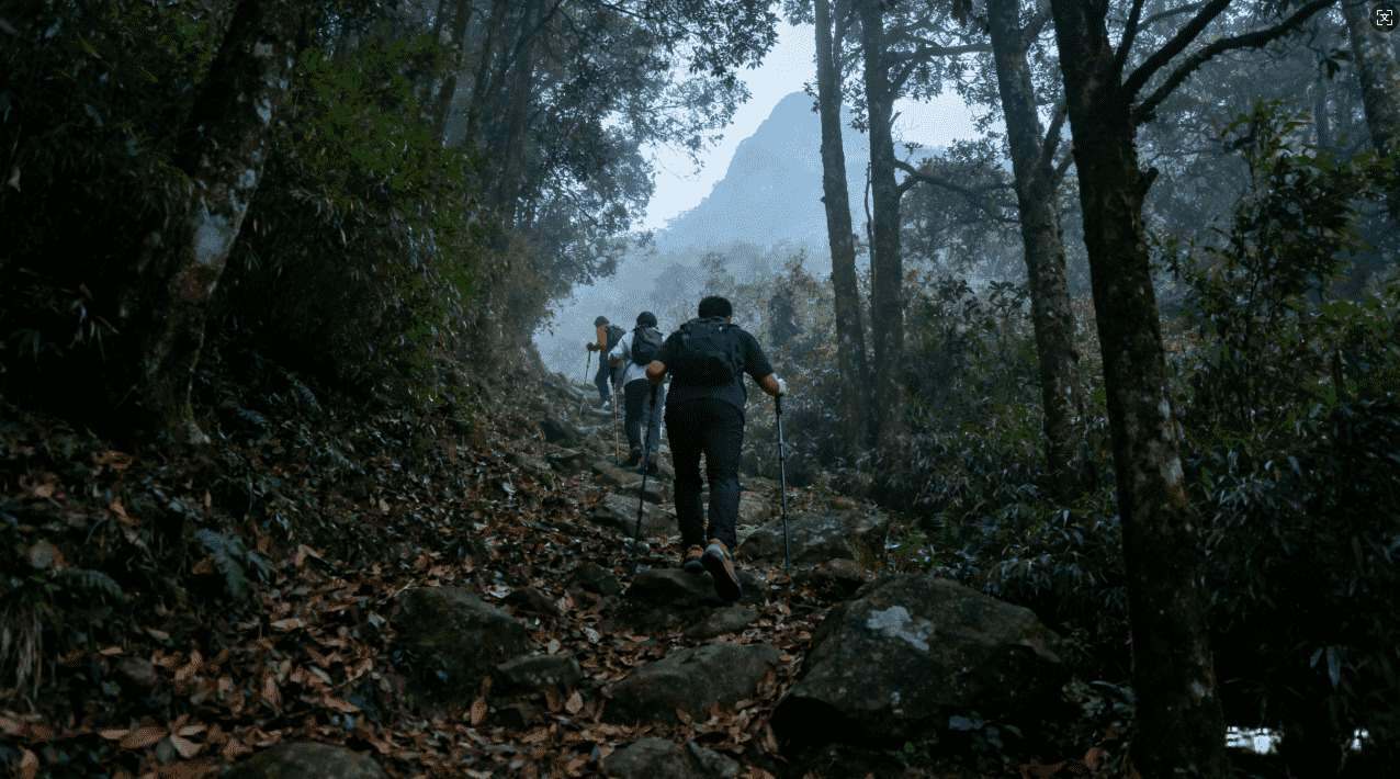 小牛加速器登录失败怎么办？这几招帮你快速恢复使用